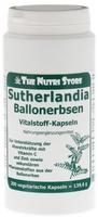 Sutherlandia Ballonerbsen 580 vegetarisc 200 St
