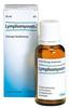 PZN-DE 01674551, Biologische Heilmittel Heel LYMPHOMYOSOT N Tropfen 30 ml Tropfen
