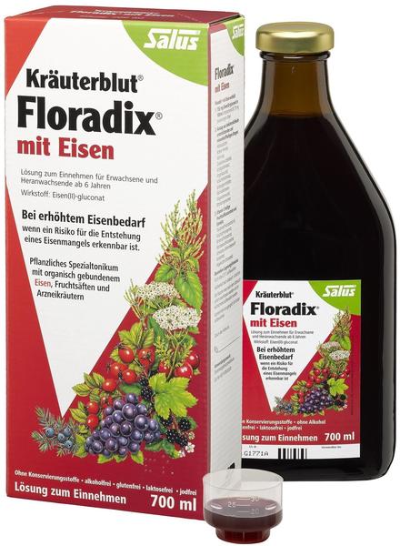Salus Pharma Floradix Kräuterblut mit Eisen (700 ml)