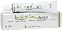 PZN-DE 06819037, INFECTOPHARM Arzn.u.Consilium Infectogingi Mundgel 6 G