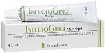 Infectogingi Mundgel (6 g)