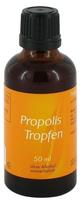 PZN-DE 00831385, Allcura Naturheilmittel Propolis Tropfen 50ml ohne Alkohol 50 ml,