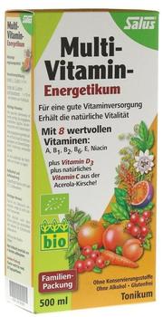 Salus Pharma Multivitamin Energetikum (500 ml)