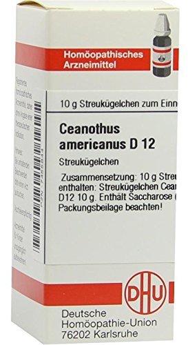 DHU Ceanothus Americanus D 12 Globuli (10 g)