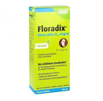 Salus Pharma Floradix Eisen plus B12 vegan Tonikum (250 ml)