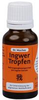 PZN-DE 05500078, Dr. Muches Ingwertropfen Dr.Muches 20 ml Tropfen, Grundpreis: &euro;