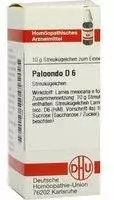 DHU Paloondo D 6 Globuli (10 g)