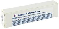 Polygonatum Officinale 5% Salbe 25 g