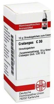 DHU Crataegus C 30 Globuli (10 g)