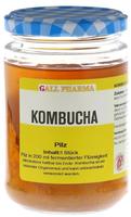 Kombucha Teepilz 1 St