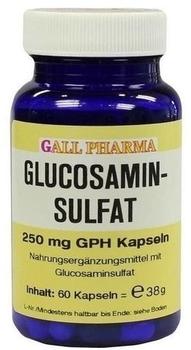 Bios Naturprodukte Glucosaminsulfat Kapseln 250 mg (60 Stk.)