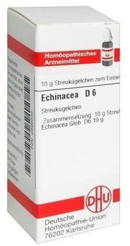 DHU Echinacea Hab D 6 Globuli (10 g)