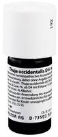 Thuja Occidentalis D 6 Dilution 20 ml
