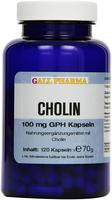 PZN-DE 03378360, Hecht-Pharma Cholin 100 mg GPH Kapseln 35 g, Grundpreis: &euro;