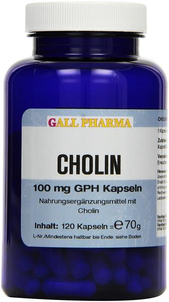 Hecht Pharma Cholin 100 mg GPH Kapseln (60 Stk.)