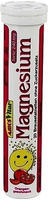 Magnesium SOMA Brausetabletten 20 St