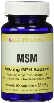 Hecht Pharma MSM 500mg GPH Kapseln (60 Stk.)