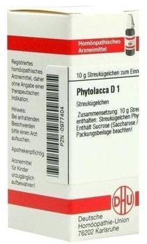 DHU Phytolacca D 1 Globuli (10 g)