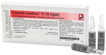 Dr RECKEWEG & Co GmbH EQUISET GASTREU R18 Injekt