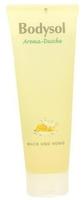 PZN-DE 09001389, Perrigo Bodysol Aroma Duschgel Milch und Honig 250 ml,...