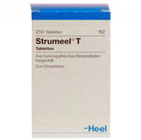 PZN-DE 08412297, Strumeel T Tabletten Inhalt: 250 St