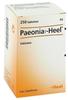 Paeonia Comp.heel Tabletten 250 St