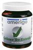 Grüner TEE Extrakt amerigo 200 mg Kapsel 90 St