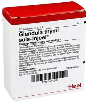 Heel Glandula Thymi Suis Injeele Ampullen (10 x 1,1 ml)