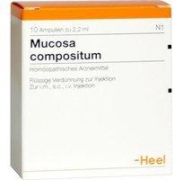 Heel Mucosa Comp Ampullen (10 Stk.)