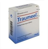 Traumeel S Ampullen 10 St