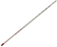 Thermometer bis 100&deg; C 1 St