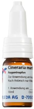 Weleda Cineraria Maritima D 3 Augentropfen (10 ml)