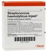 PZN-DE 01178533, Biologische Heilmittel Heel Streptococcus Haemolyticus Injeel