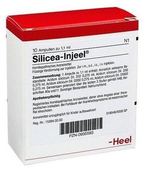 Heel Silicea Injeele (10 Stk.)
