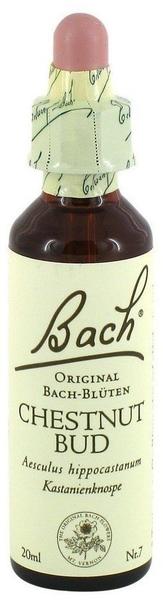 Nelsons Original Bachblüten Chestnut Bud Tropfen Nr. 7 (20 ml)