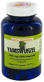 Hecht Pharma Yamswurzel 500 mg GPH Kapseln (120 Stk)