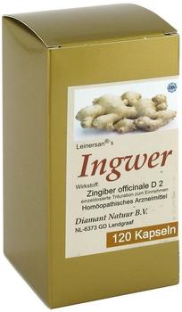 Diamant Natuur B.V. Ingwer Kapseln (120 Stk.)