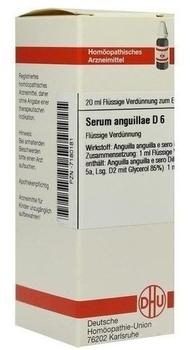 DHU Serum Anguillae D 6 Dilution (20 ml)