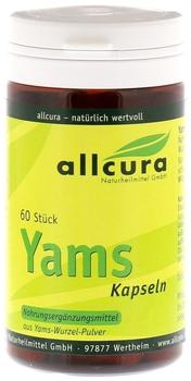 Allcura YAMS 250 mg Yamspulver Kapseln (60 Stk)