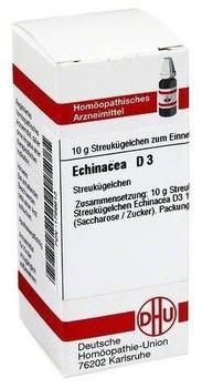 DHU Echinacea Hab D 3 Globuli (10 g)