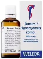 PZN-DE 01612656, WELEDA Aurum/hyoscyamus compositus Dilution 50 ml, Grundpreis: