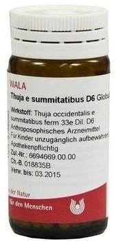 Wala-Heilmittel Thuja E Summit. D6 Globuli (20 g)
