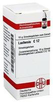 Lachesis D12 Globuli 10 g