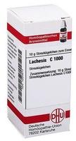 Lachesis C 1000 Globuli 10 g