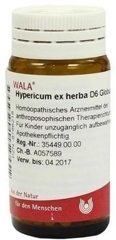 Wala-Heilmittel Hypericum Ex Herba D 6 Globuli (20 g)