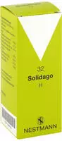 PZN-DE 01828126, NESTMANN Pharma Solidago H 32 Tropfen, 100 ml, Grundpreis: &euro;