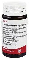 Cartilago/mandragora Comp. 20 g