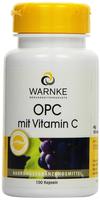 OPC 200 Bioflavonoide Kapseln 100 St