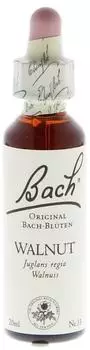 Nelsons Bachblüten Walnut Tropfen (20 ml)