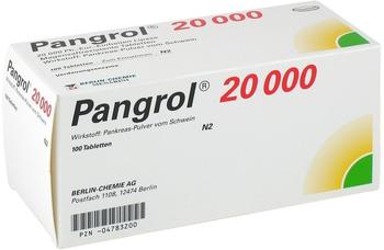 Pangrol 20000 Filmtabletten (100 Stk.)